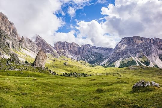Mountain Meadow Summit landscape image