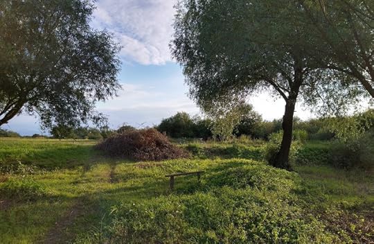 Ilieni, Covasna