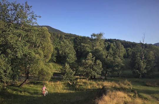 Vama Buzaului, Brasov