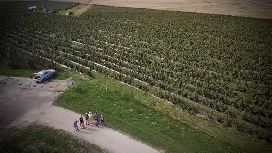 La cules de zmeura si afine, Transylvania Berry; Berivoi, Brasov