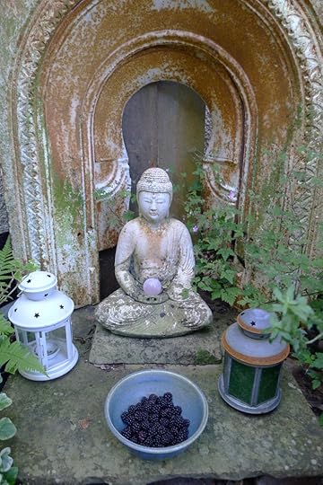Freshly picked blackberries