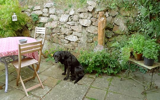 Our courtyard, early autumn