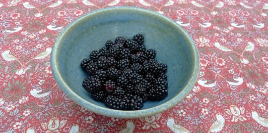 Blackberries picked this morning
