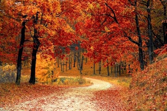 autumnal scene