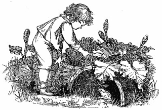 Drawing by Eleanor Vere Boyle