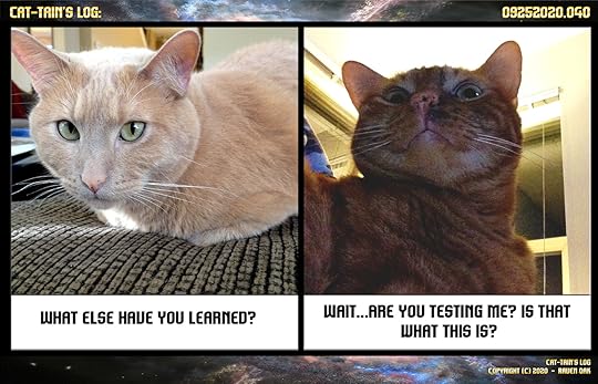 cat-tain