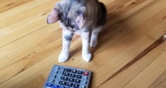 cat-calculator