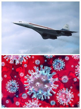 concorde-covid-19-COLLAGE.jpg