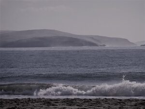 The Wild Sonoma Coast