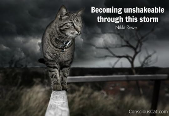 cat-stormy-weather