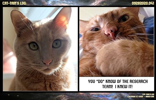Cat-tain