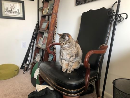 can or can't - Thalia ponders a plan.