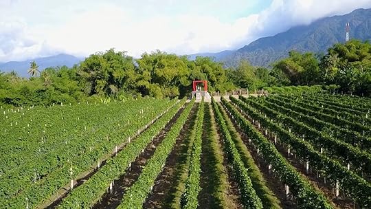 Hatten Wines