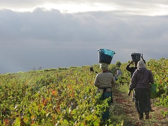 Ingrid de Waal winery