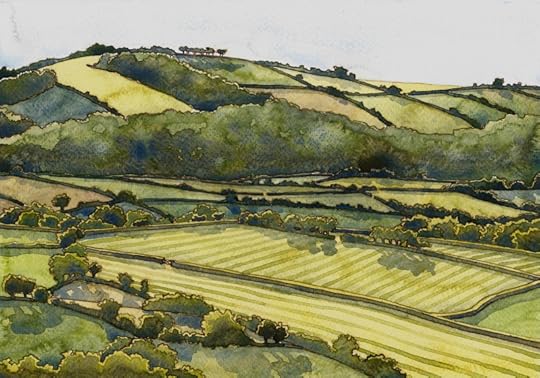 Devon landscape summer by Danielle Barlow