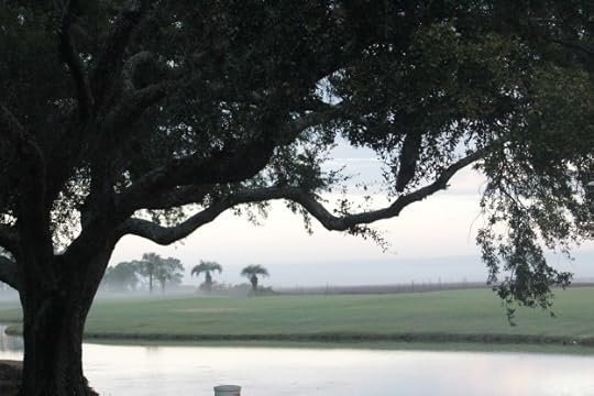 Sadness dissipates like fog and reveals joy like fresh dew on morning grass.