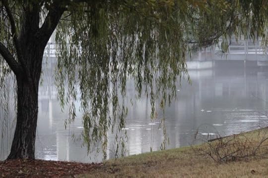 A weeping willow beside a lake. A classic image of sadness.