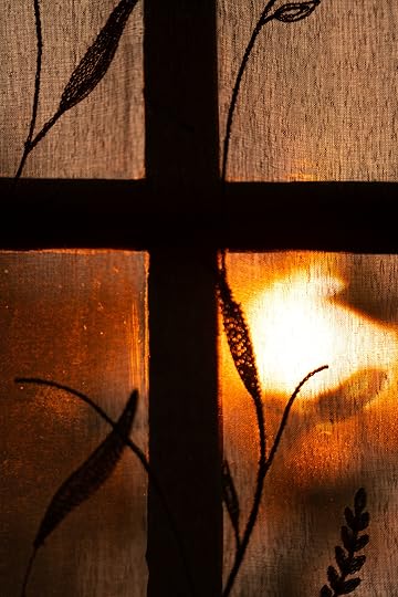 Sunrise through the Haze © Harold Davis