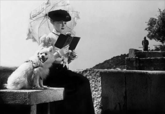 AF4-DCCDE-F686-488-F-A366-90-F30914-E136