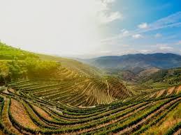 Image result for madrid to porto landscape