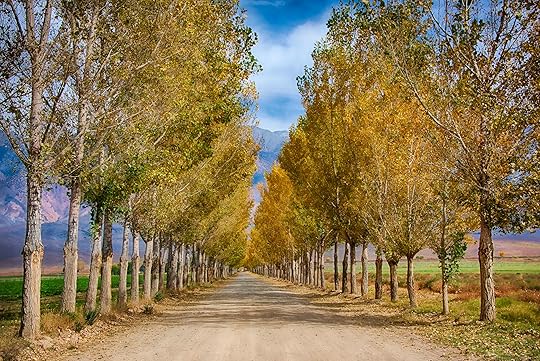 Autumn Passage © Harold Davis