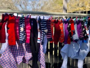 Socks by writer Paul Carter