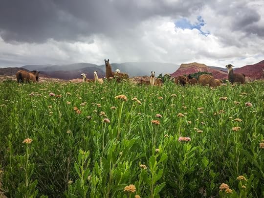 Lamele dintre Humahuaca si Tilcara ce m-au facut sa zambesc, Argentina