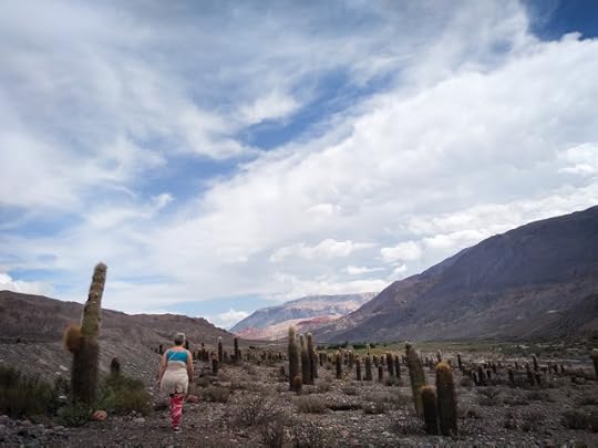 Drumul dintre Salta si San Antonio de los Cobres, Argentina