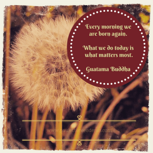 Magic, Movement, and the New Year