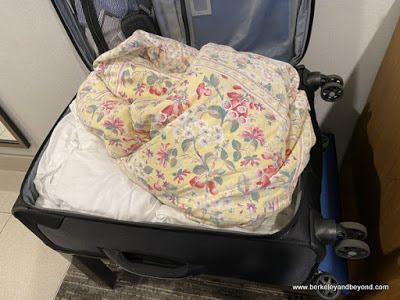 pillows in opensuitcase