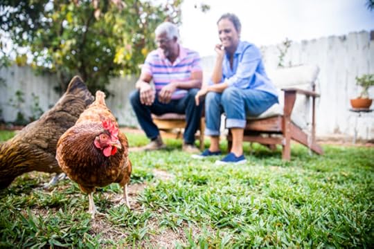 meat and environmental impact