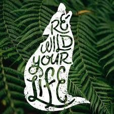 Rewild Your Life - Home | Facebook
