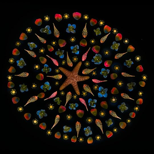 Starfish Mandala Inversion © Harold Davis