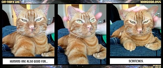 Cat-tain