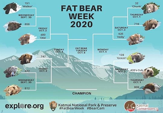 Fat Bear Week bracket vote 2020