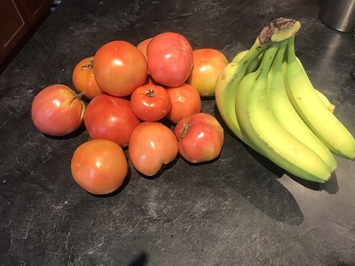 tomatoes