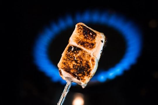 keto paleo gluten free s'mores