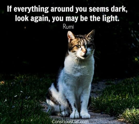 cat-dark-light