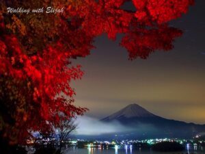 Life Journey