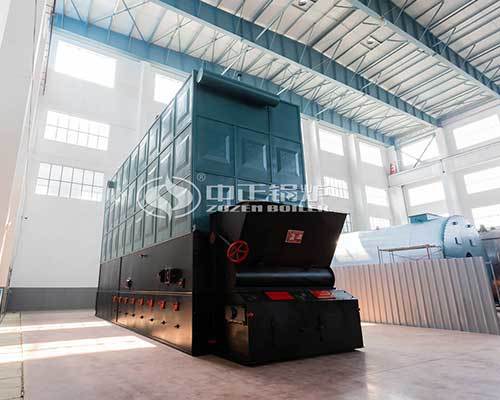 Biomass thermal oil boiler