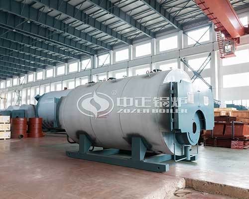 Gas fired hot water boiler