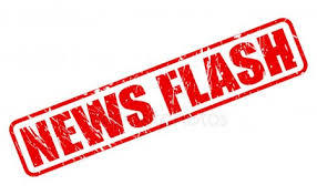 newsflash-stop fighting