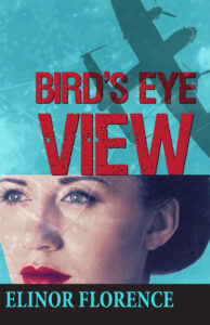 Bird's Eye View book cover design