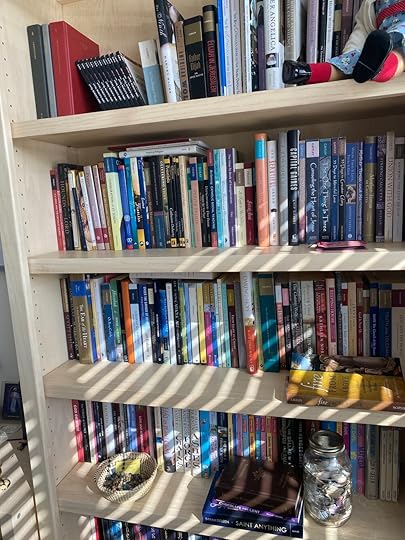 Most of the theology/religion section of my library. (Yes, the Magnolia books were published by a Christian publishing house!)