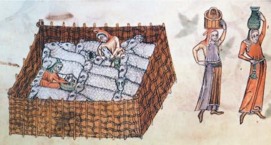 Sheep pen