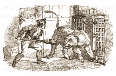 Drawing of lion and keeper, 1820's, Tower of London Menagerie