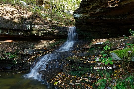 Morgan's Steep Cascade, Fall, by David B. Coe