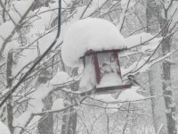 Plan Ahead to Avoid the Winter Blues