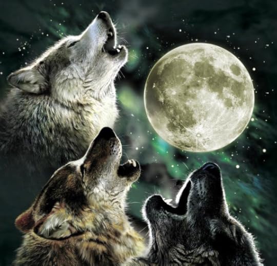 The Flutterby Case: Three Wolf Moon – An Amazon reviewer meme.