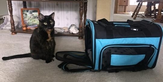 cat-carrier